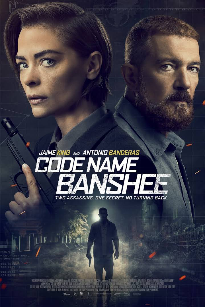 Xem Phim Mật Danh Banshee Vietsub HD Online - Rophim