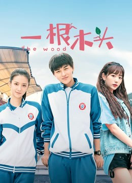 Xem Phim Một Khúc Gỗ Mùa 1 Vietsub HD Online - Rophim