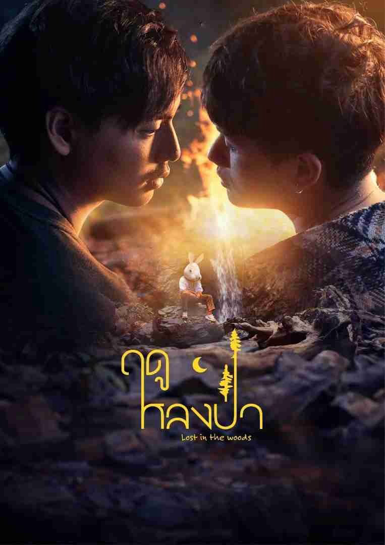Xem Phim Mùa Lạc Trong Rừng Vietsub HD Online - Rophim