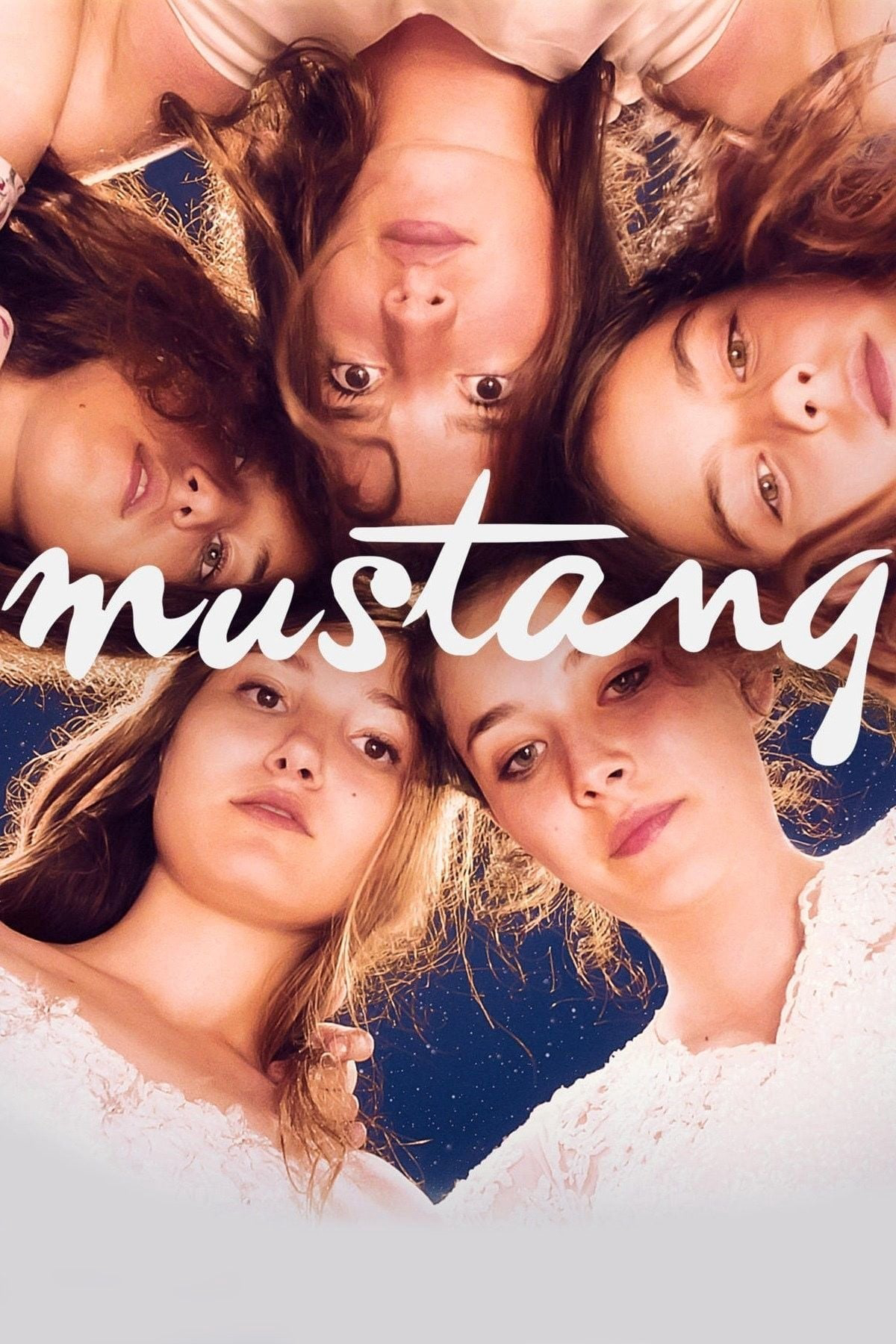 Xem Phim Mustang Vietsub HD Online - Rophim