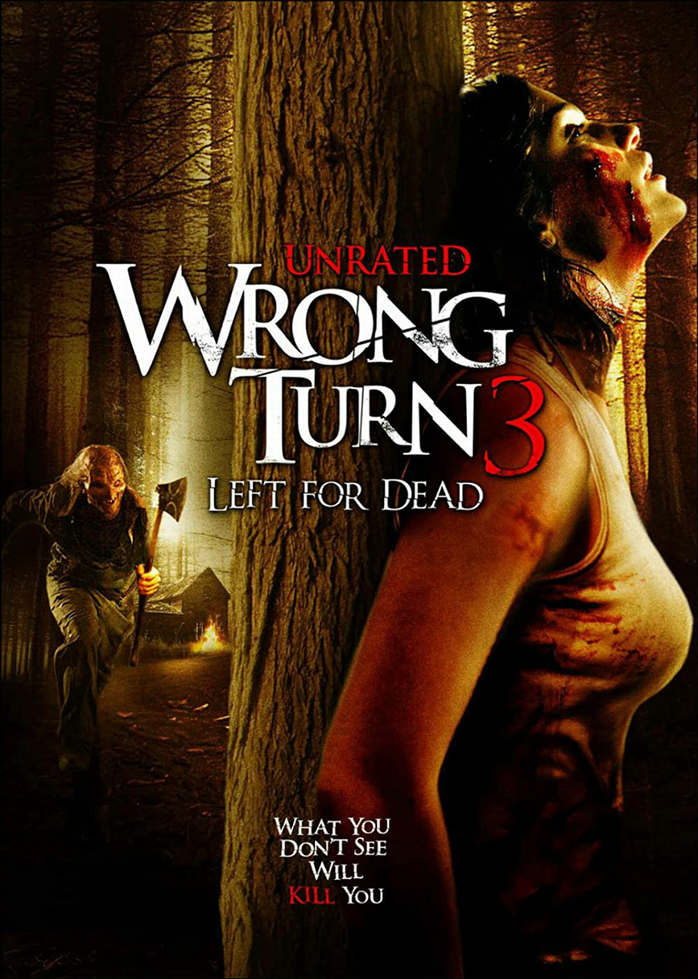 Xem Phim Ngã Rẽ Tử Thần 3 Vietsub HD Online - Rophim