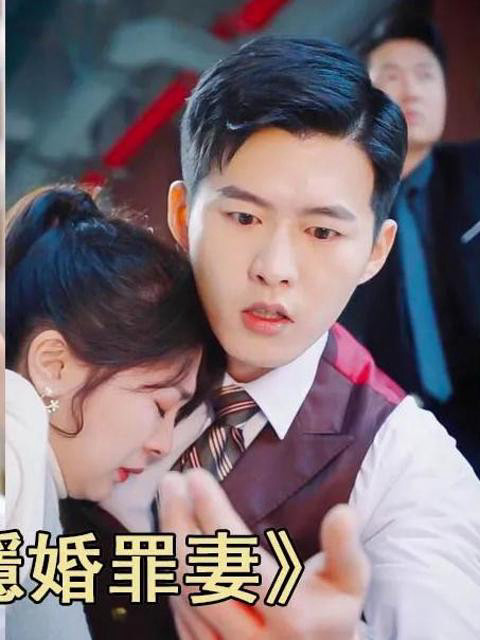 Xem Phim Người Vợ Tội Phạm Bí Mật Của Tổng Giám Đốc Cố Vietsub HD Online - Rophim