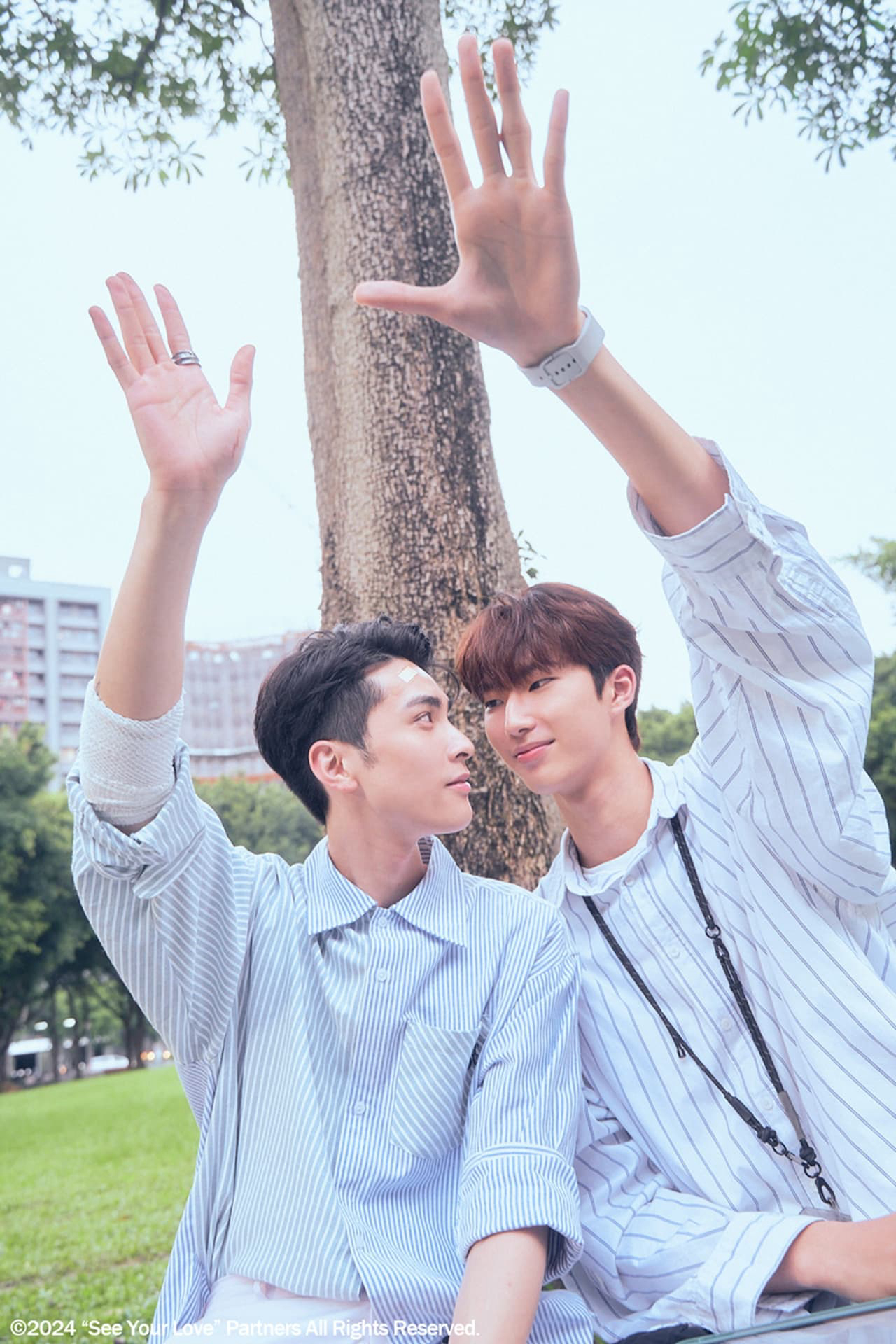 Xem Phim Nhìn Thấy Tình Yêu Vietsub HD Online - Rophim