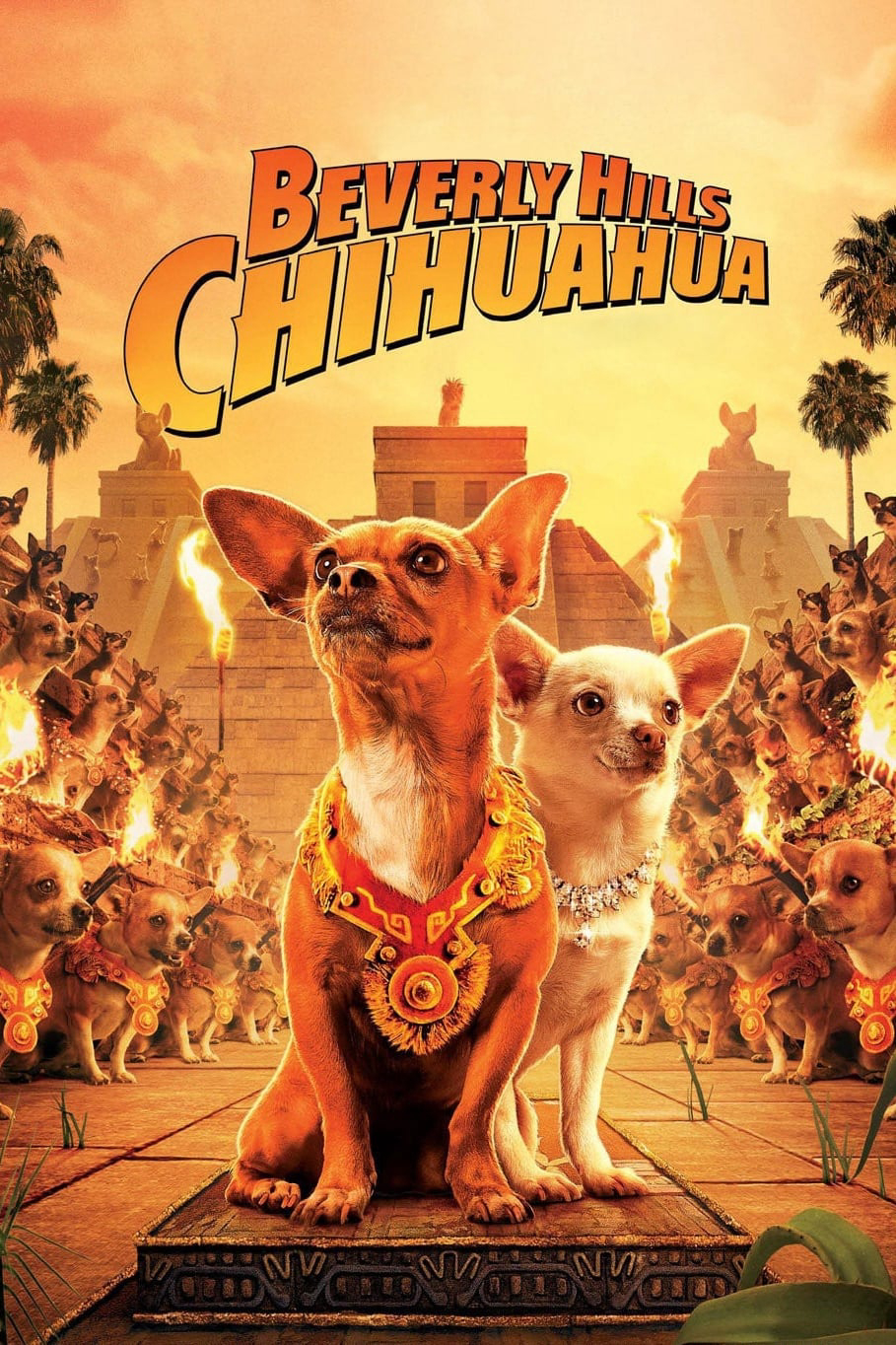 Xem Phim Những Chú Chó Chihuahua Vietsub HD Online - Rophim