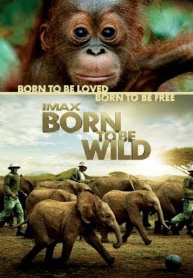 Xem Phim Những Loài Vật Mồ Côi Vietsub HD Online - Rophim