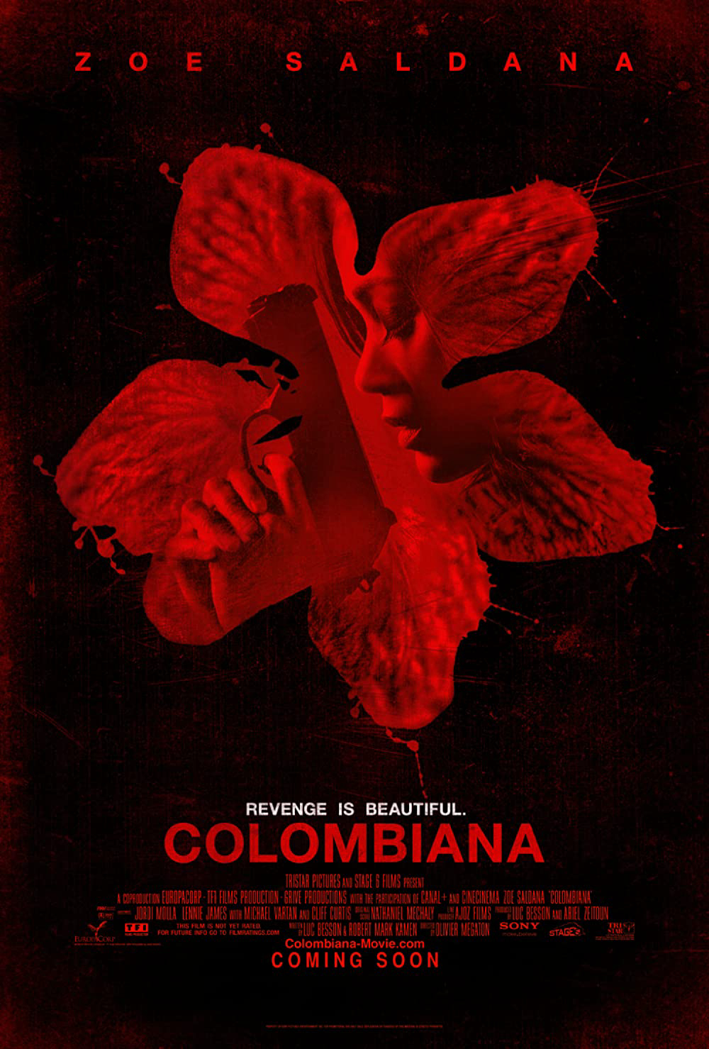 Xem Phim Nữ sát thủ Colombiana Vietsub HD Online - Rophim