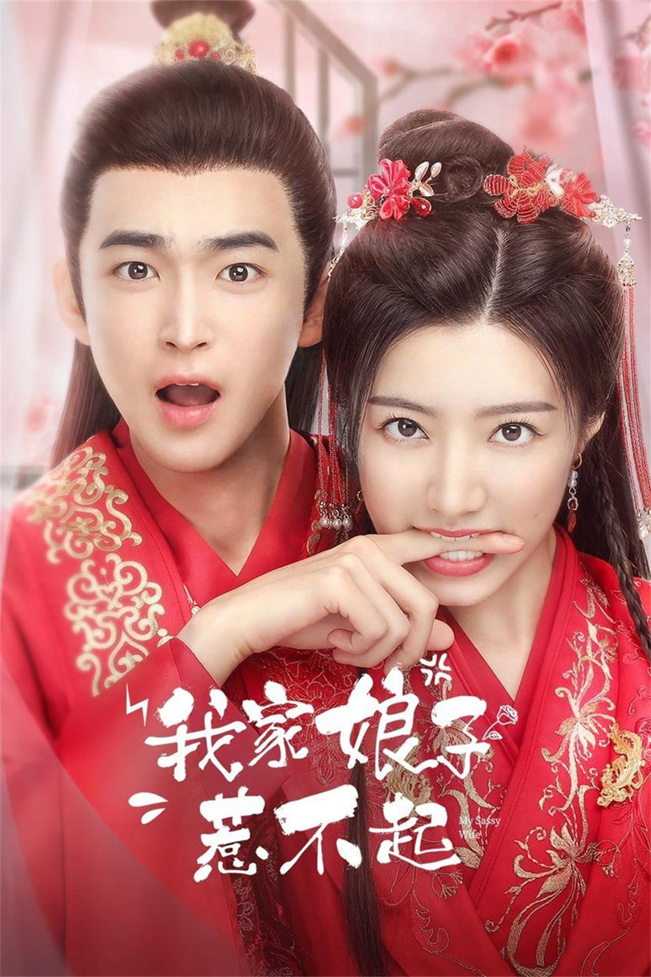 Xem Phim Nương Tử Nhà Ta Không Dễ Chọc Vietsub HD Online - Rophim