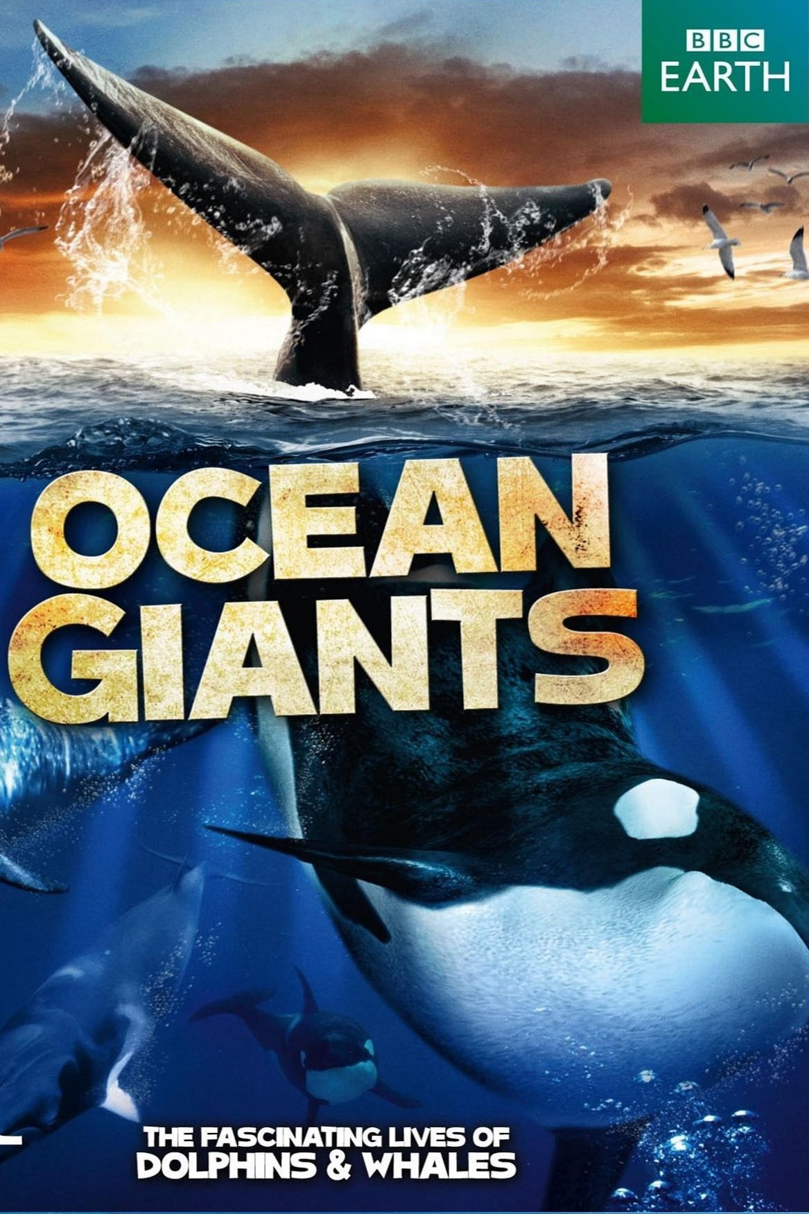 Xem Phim Ocean Giants Vietsub HD Online - Rophim