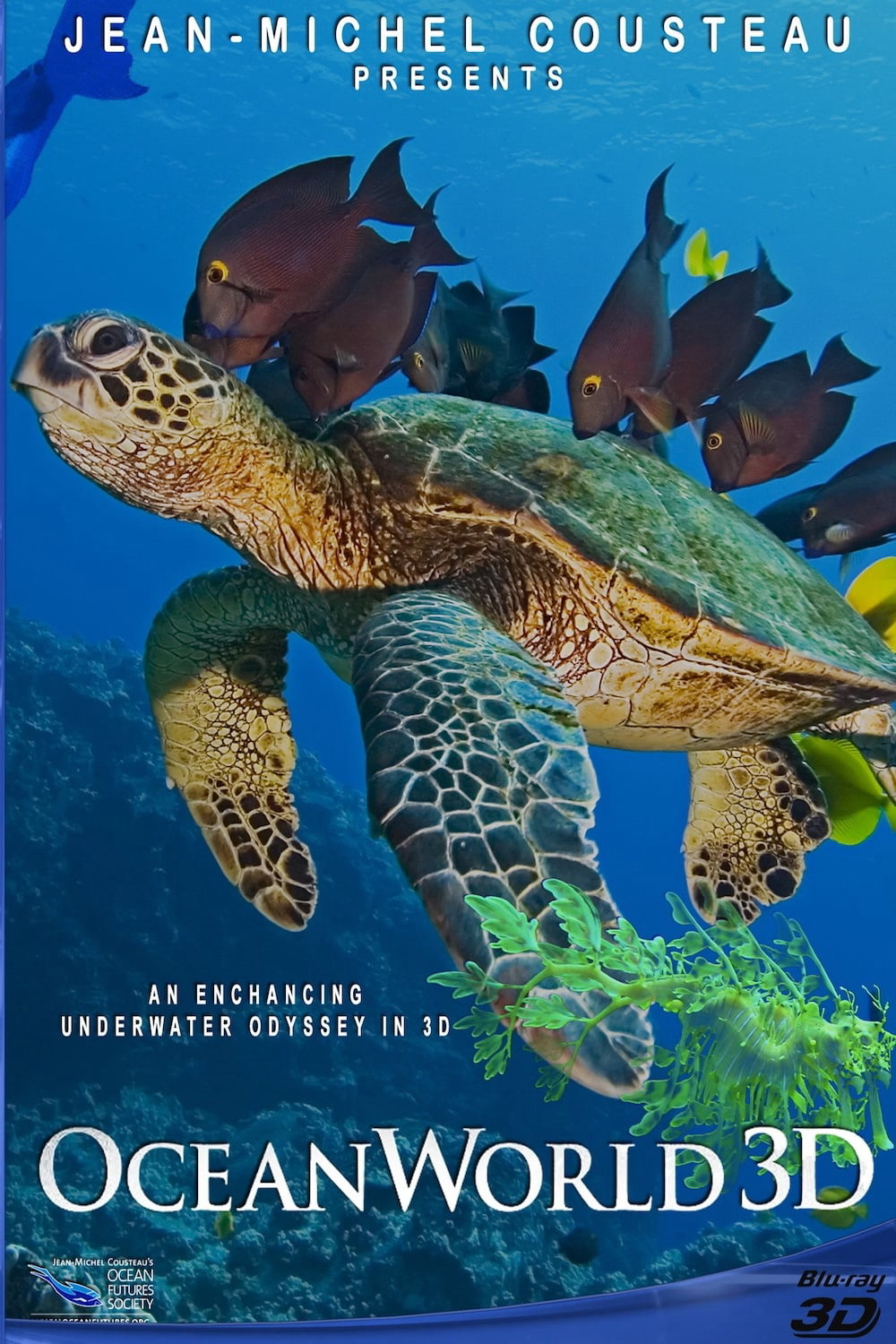 Xem Phim OceanWorld 3D Vietsub HD Online - Rophim