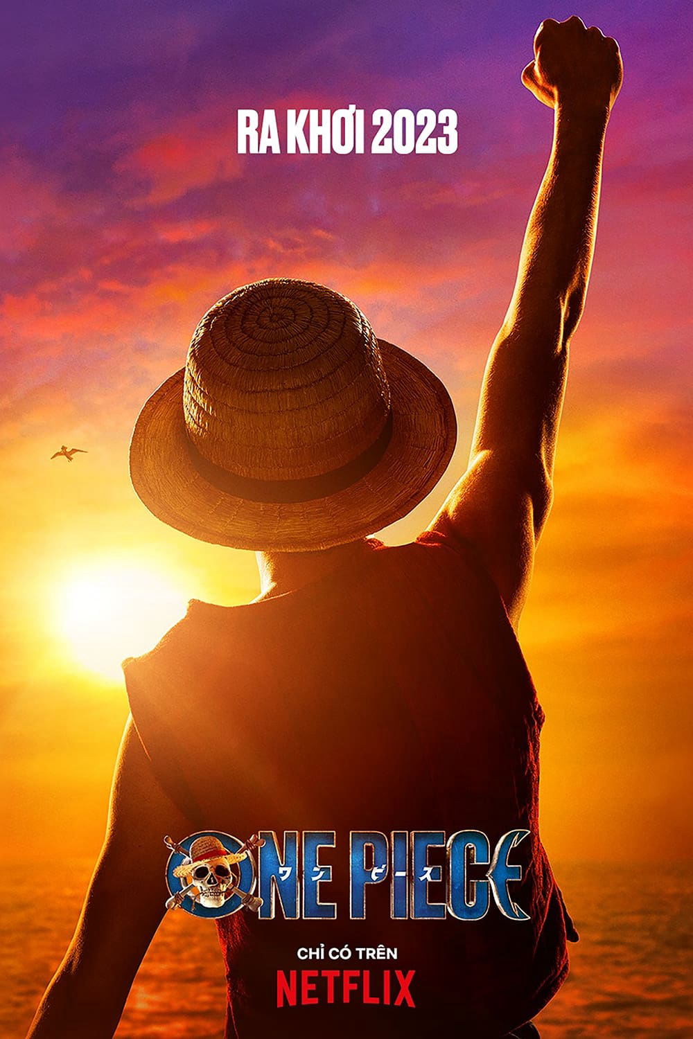 Xem Phim Đảo Hải Tặc (Live Action) Vietsub HD Online - Rophim