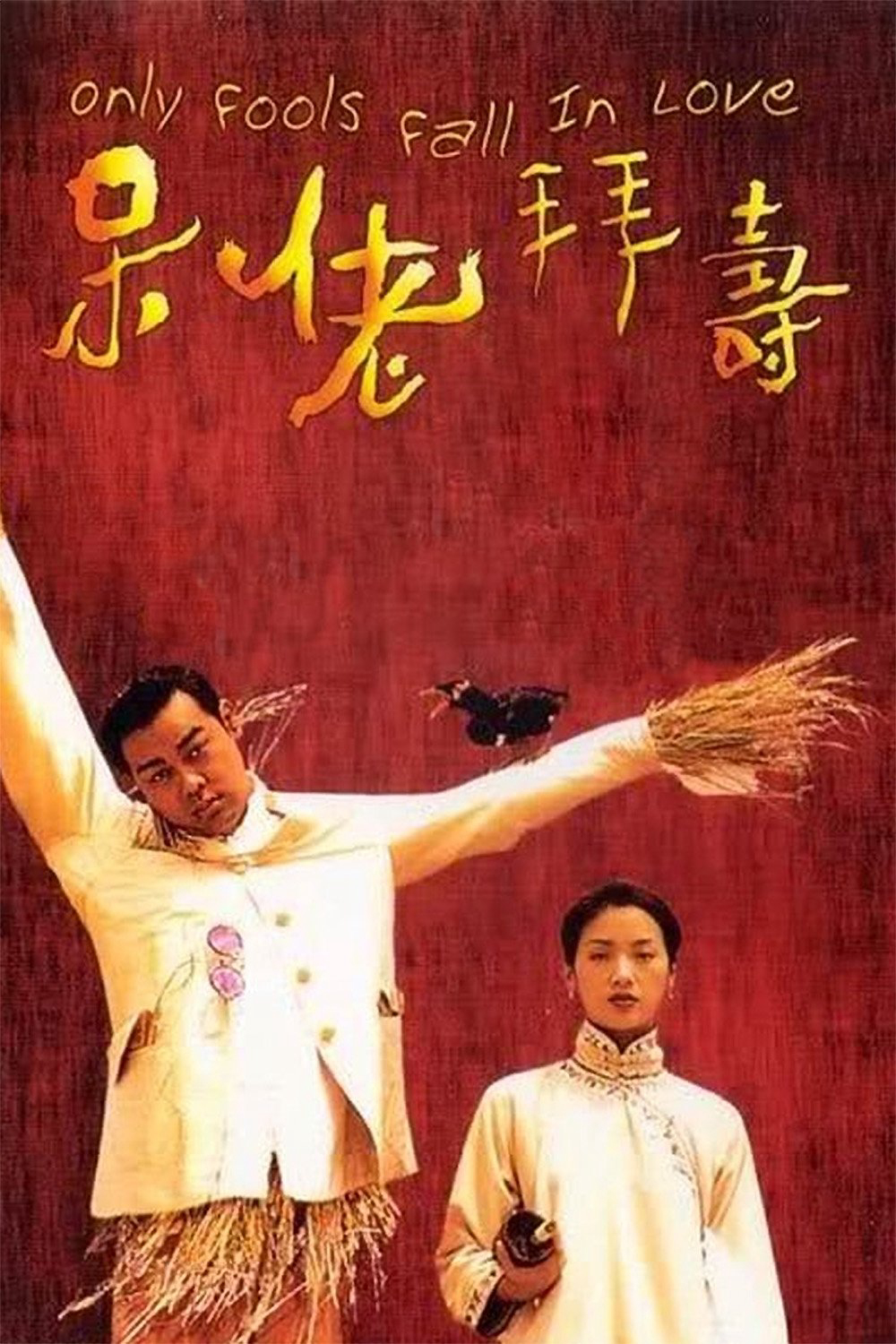 Xem Phim Only Fools Fall in Love Vietsub HD Online - Rophim