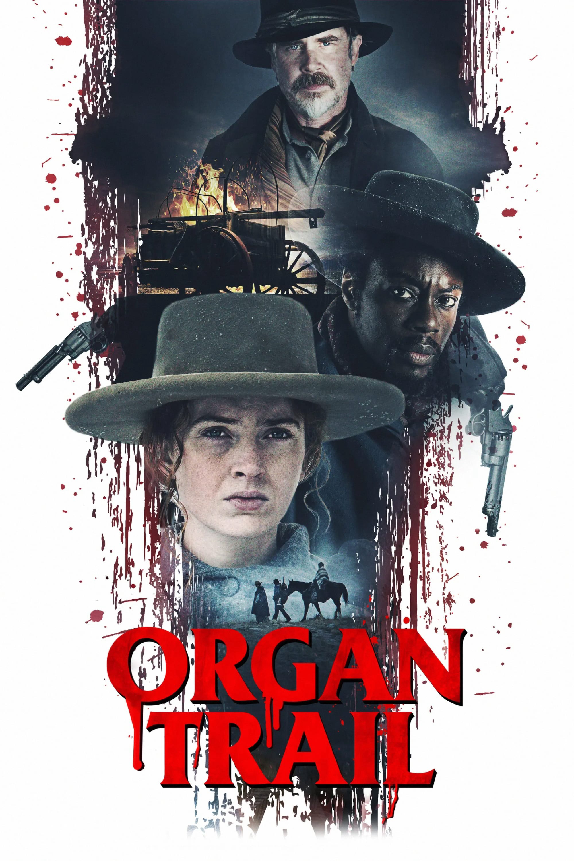 Xem Phim Đường Mòn Organ Vietsub HD Online - Rophim