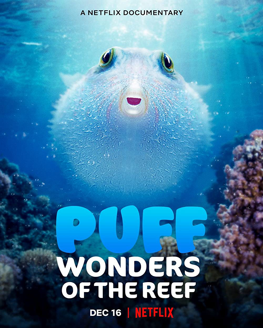 Xem Phim Puff: Rạn san hô kỳ diệu Vietsub HD Online - Rophim