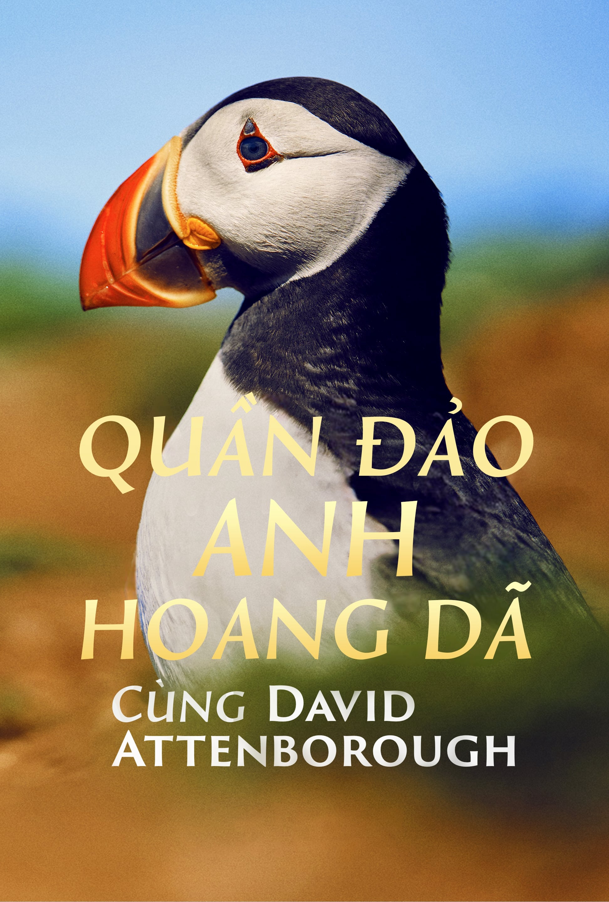 Xem Phim Quần Đảo Anh Hoang Dã Vietsub HD Online - Rophim