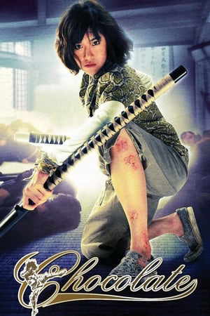 Xem Phim Quyền Cước Thượng Đẳng Vietsub HD Online - Rophim