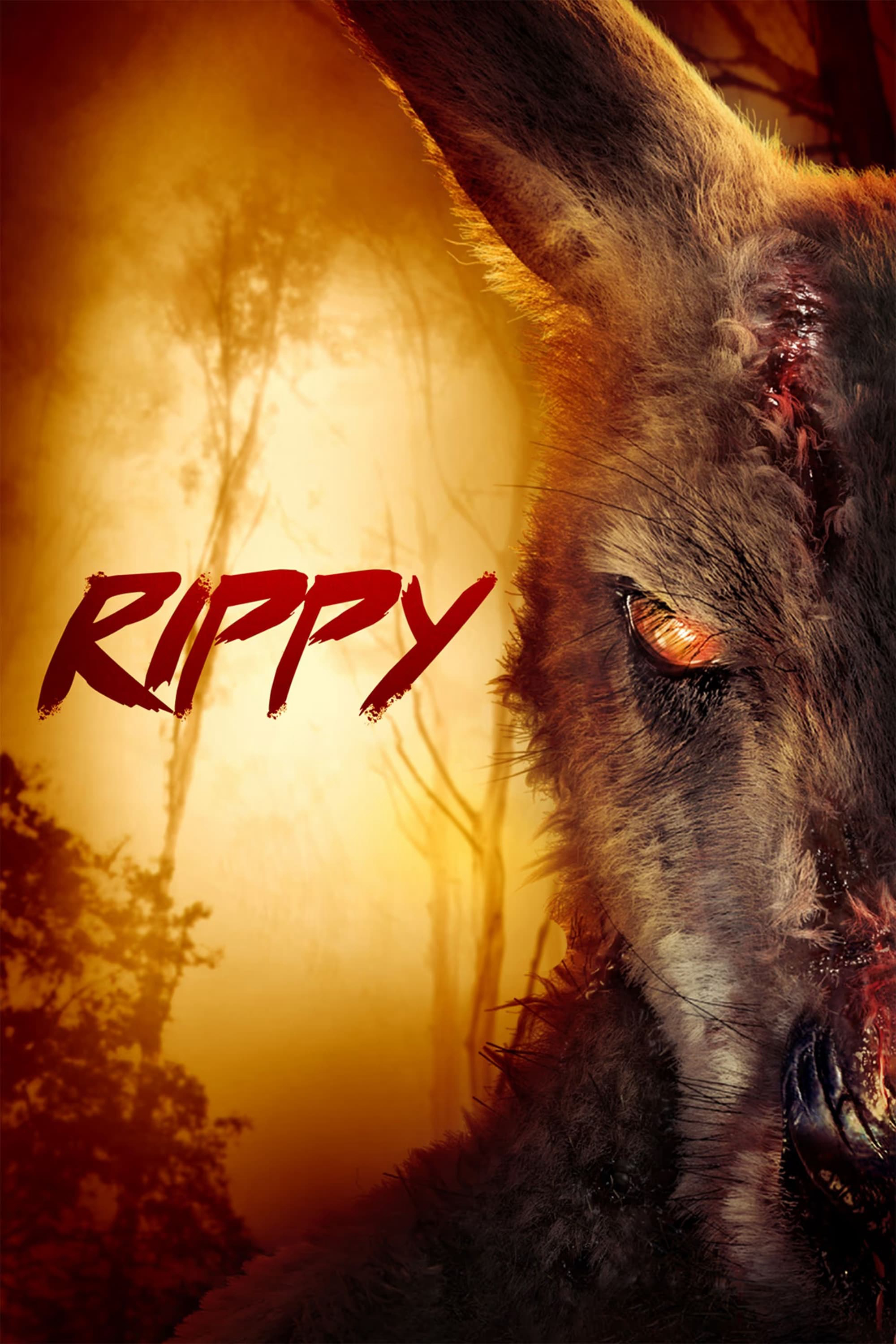 Xem Phim Rippy Vietsub HD Online - Rophim