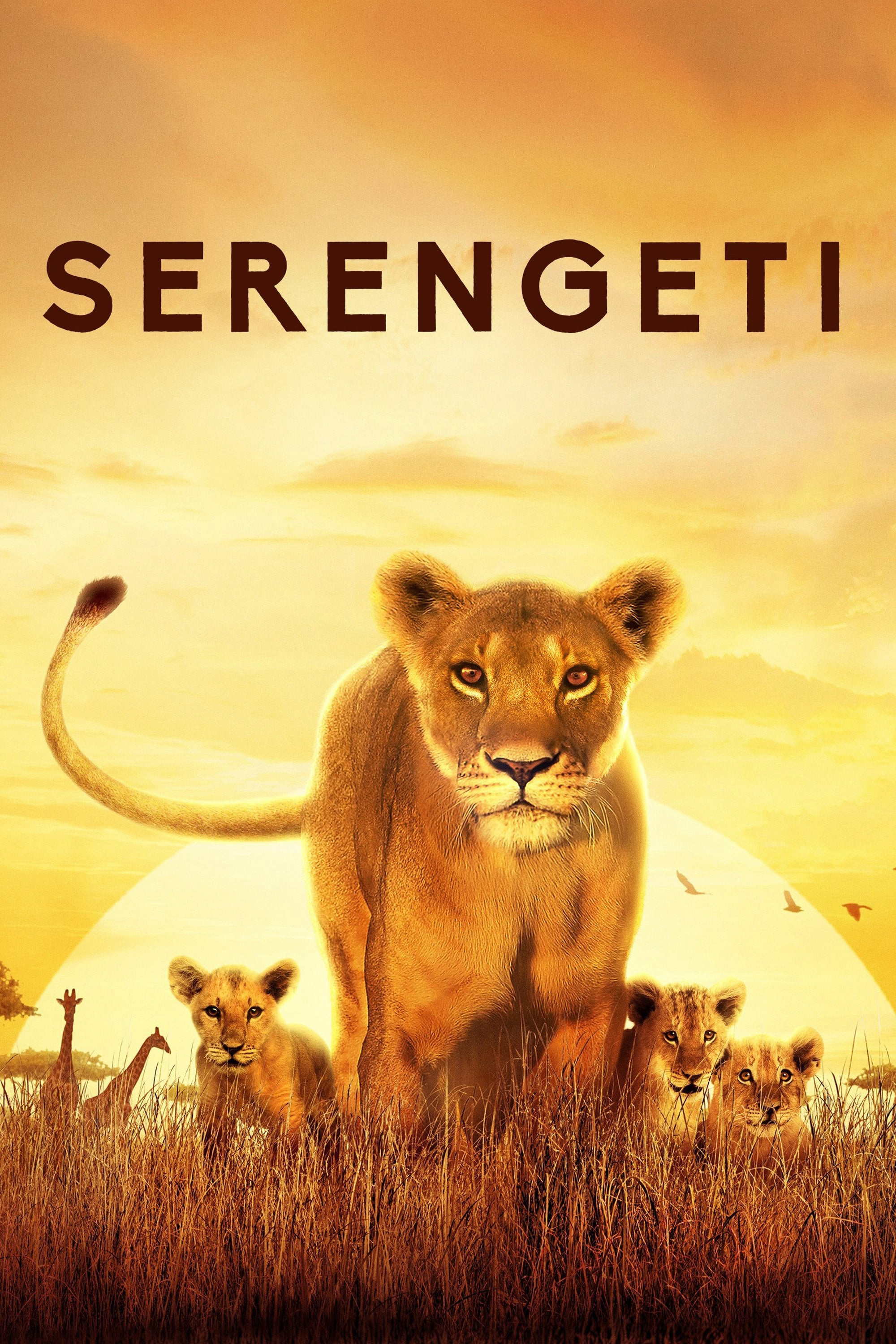Xem Phim Serengeti Vietsub HD Online - Rophim
