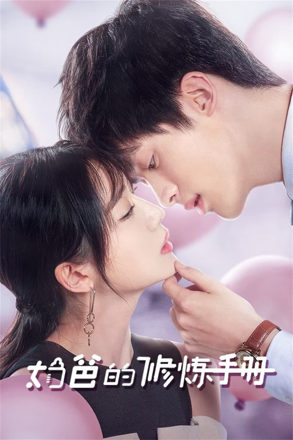 Xem Phim Sổ Tay Chăm Con Của Ông Bố Bỉm Sữa Vietsub HD Online - Rophim