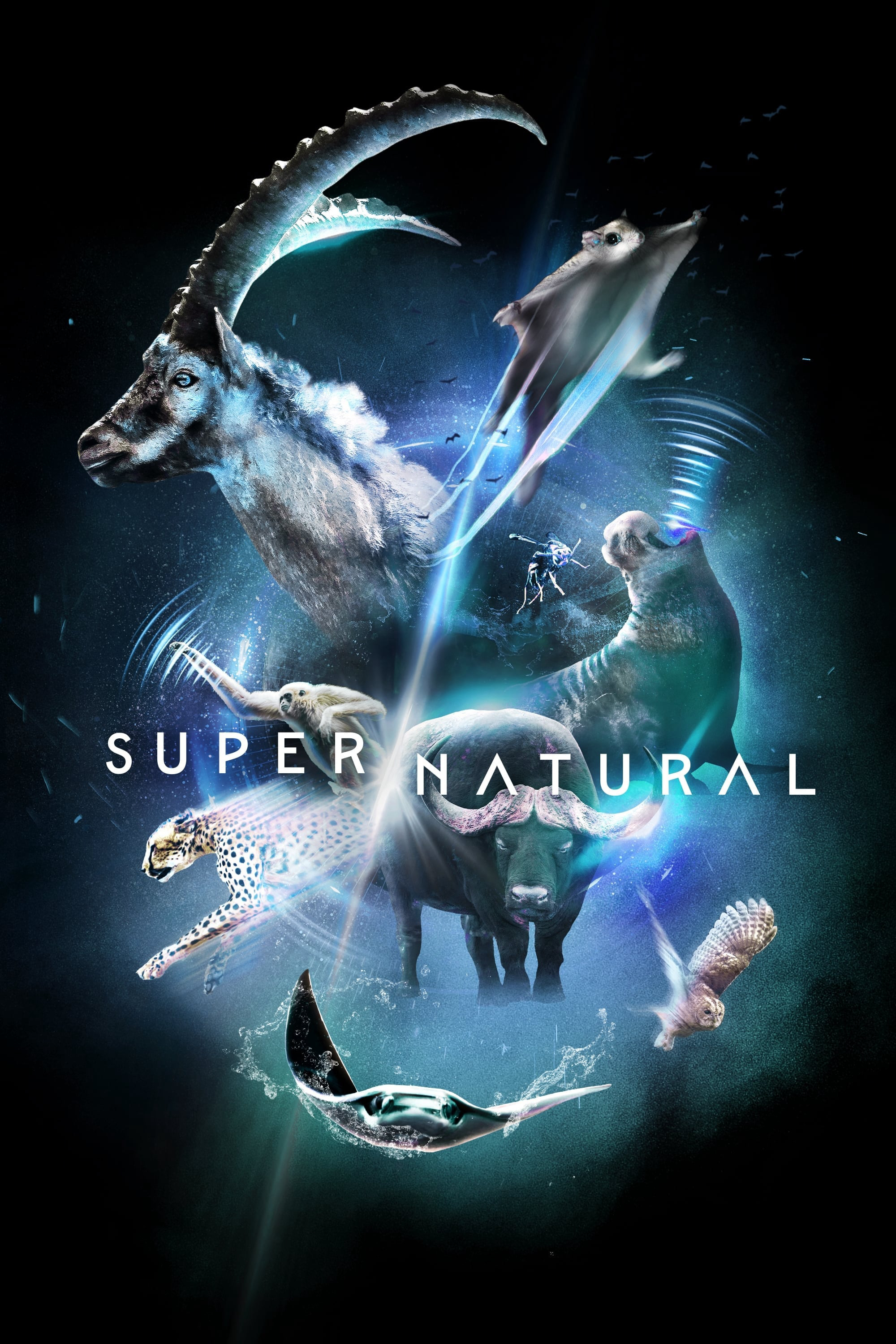 Xem Phim Super/Natural Vietsub HD Online - Rophim