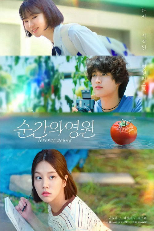 Xem Phim Thanh Xuân Bất Tận Vietsub HD Online - Rophim