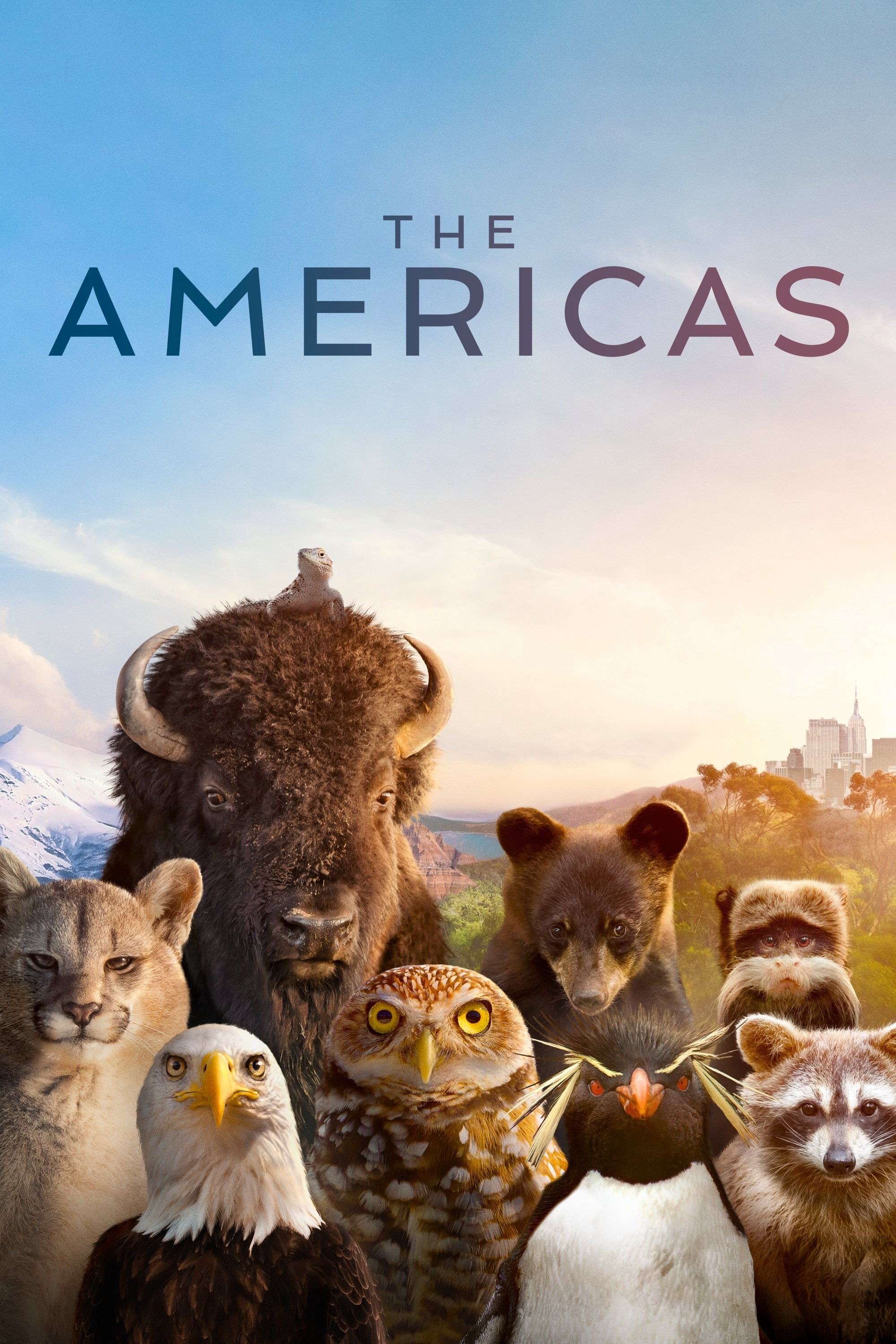 Xem Phim The Americas Vietsub HD Online - Rophim