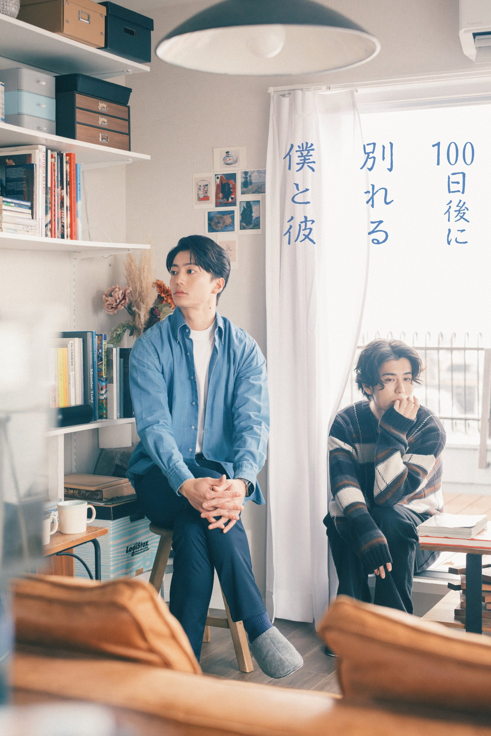 Xem Phim The Boy and I Who Will Break Up in 100 Days Vietsub HD Online - Rophim