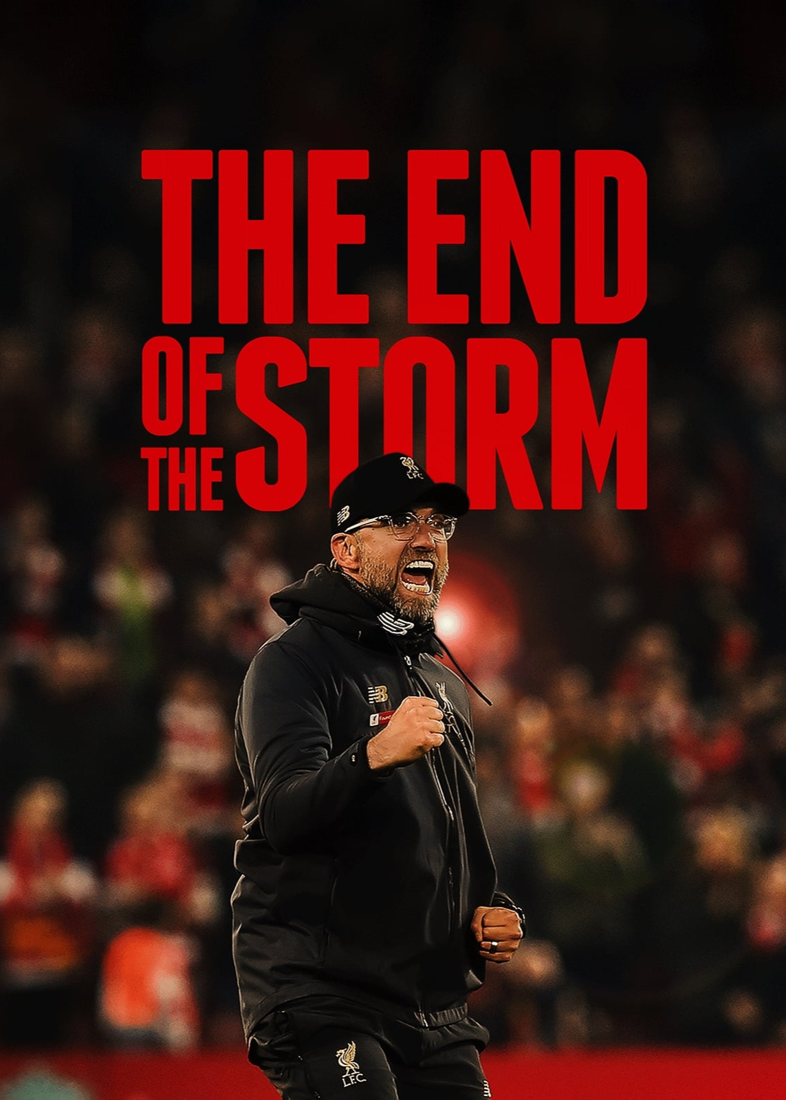 Xem Phim The End of the Storm Vietsub HD Online - Rophim