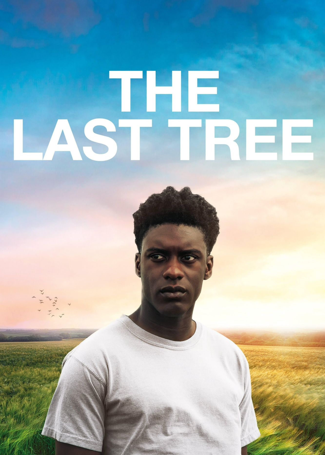 Xem Phim The Last Tree Vietsub HD Online - Rophim