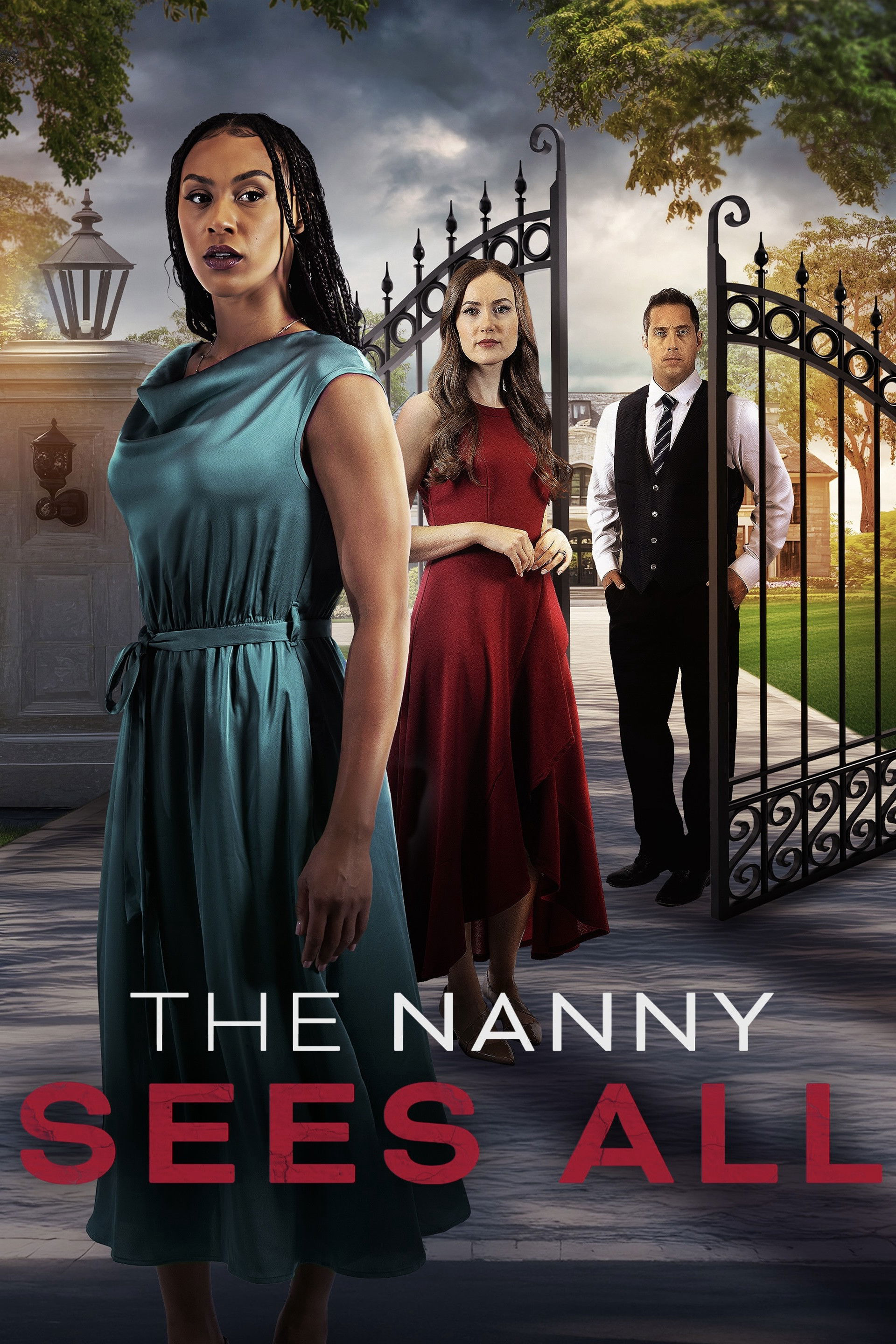 Xem Phim The Nanny Sees All Vietsub HD Online - Rophim