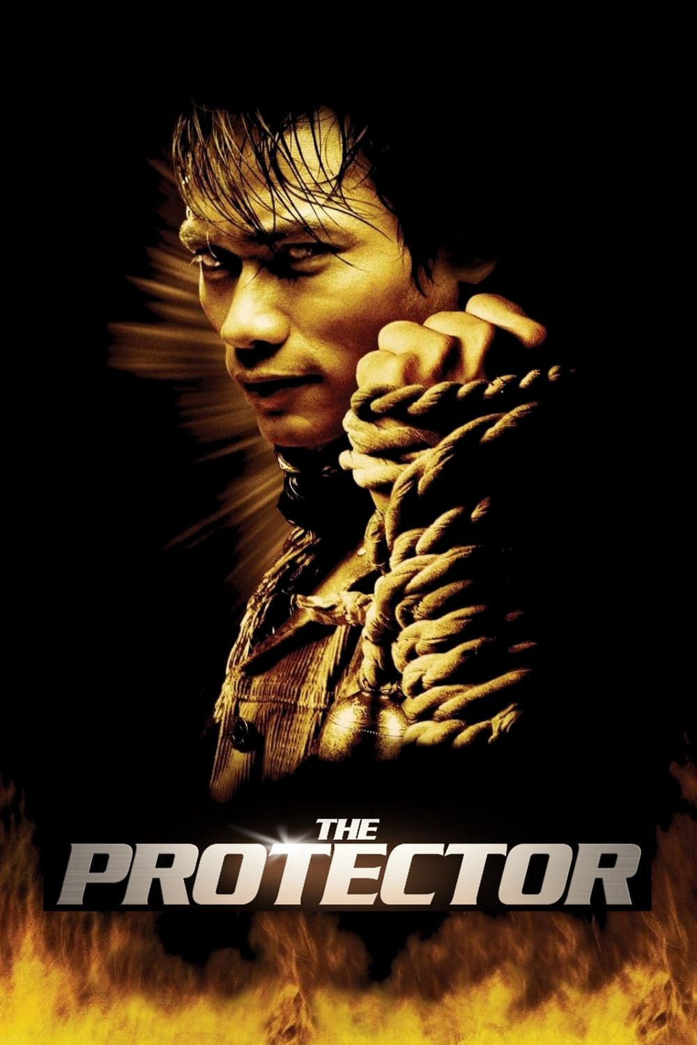 Xem Phim The Protector Vietsub HD Online - Rophim