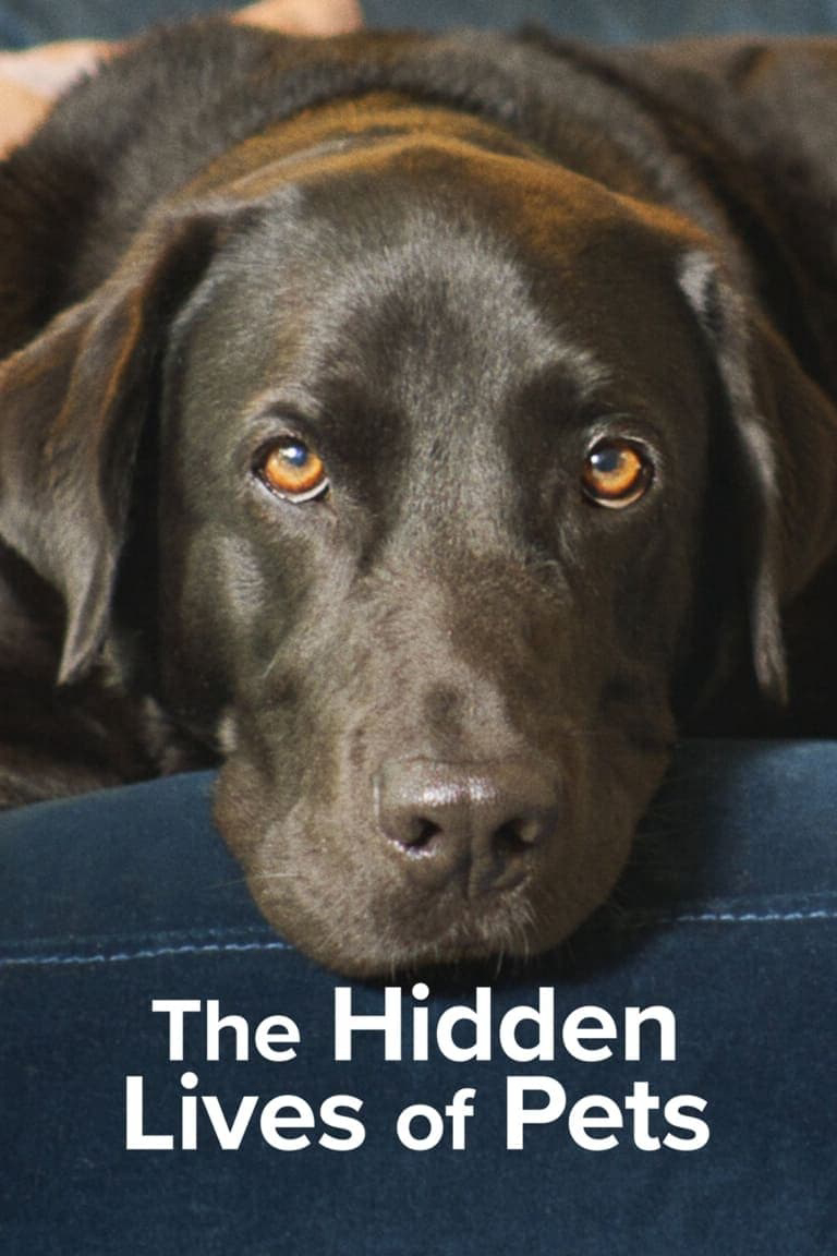 Xem Phim The Secret Life of Our Pets Vietsub HD Online - Rophim