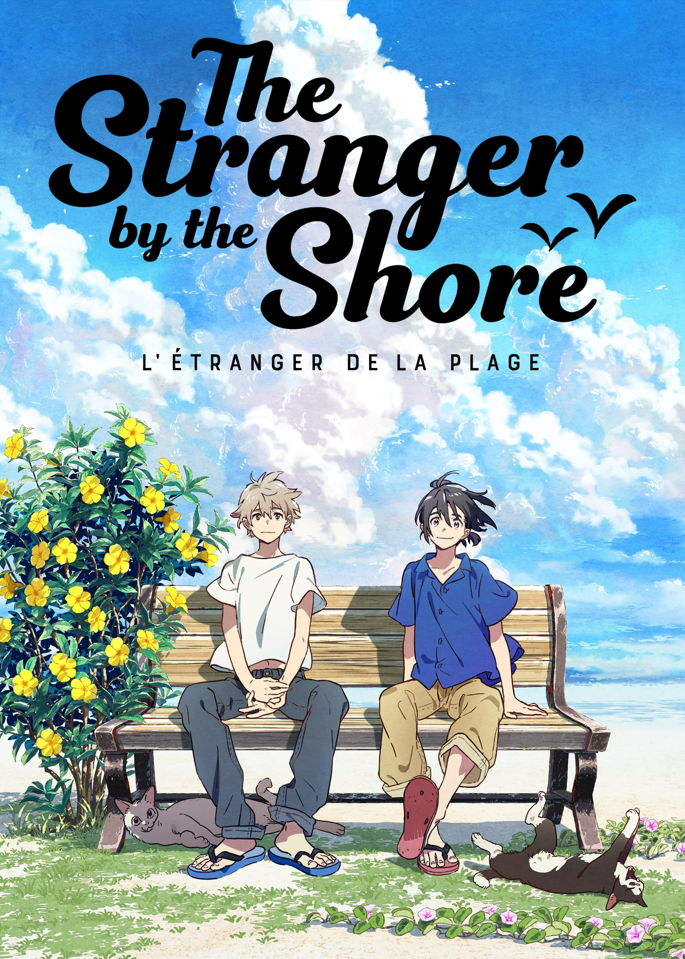 Xem Phim The Stranger by the Beach Vietsub HD Online - Rophim