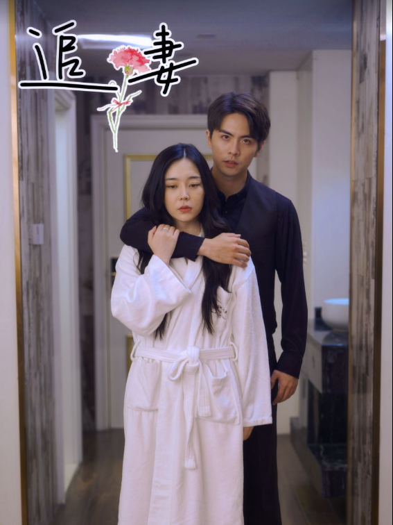 Xem Phim Theo Đuổi Vợ Tôi Vietsub HD Online - Rophim