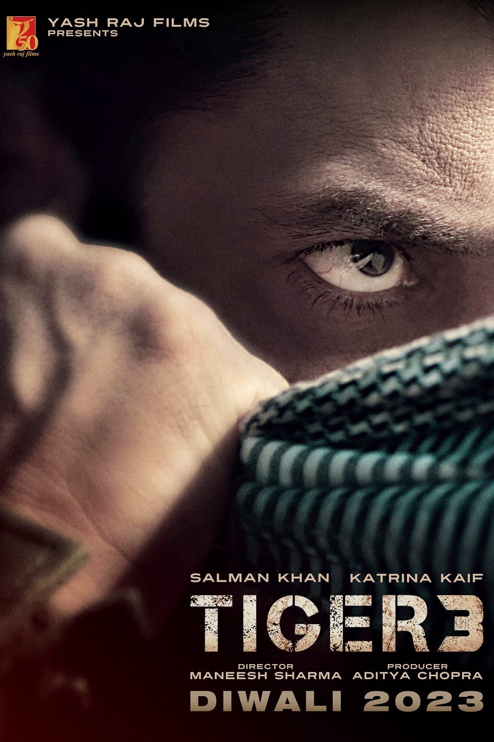 Xem Phim Tiger 3 Vietsub HD Online - Rophim