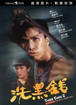 Xem Phim Tiger Cage II Vietsub HD Online - Rophim