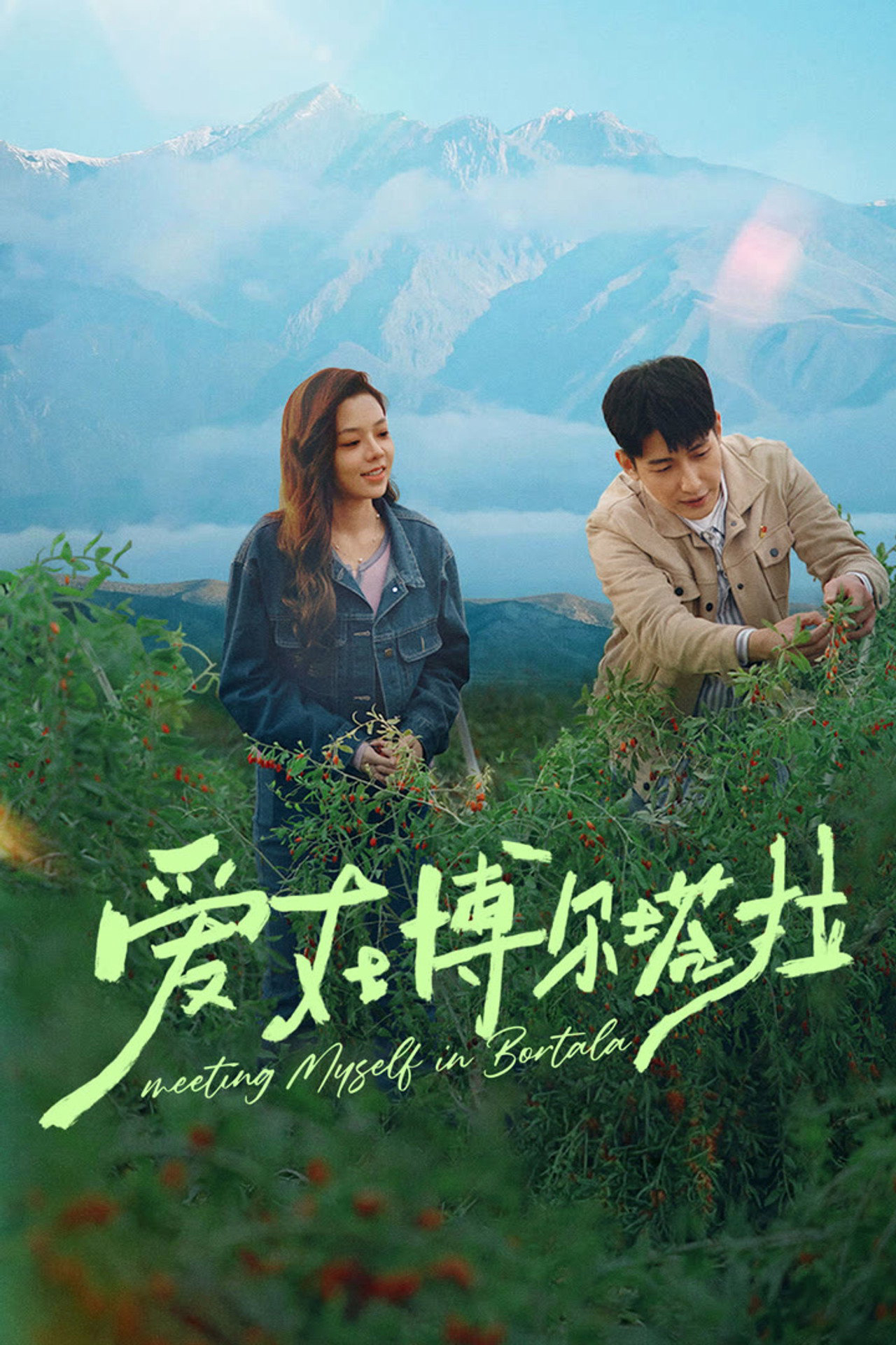 Xem Phim Tình Yêu Ở Bortala Vietsub HD Online - Rophim