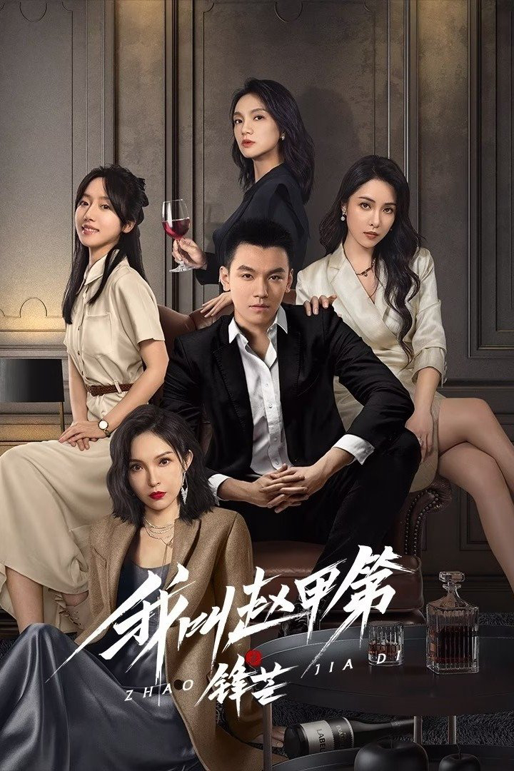 Xem Phim Tôi Là Triệu Giáp Đệ: Phong Mang Vietsub HD Online - Rophim