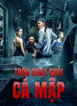 Xem Phim Trốn Chạy Khỏi Cá Mập Vietsub HD Online - Rophim