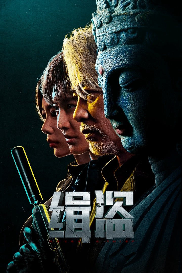 Xem Phim Truy Bắt Đạo Tặc Vietsub HD Online - Rophim