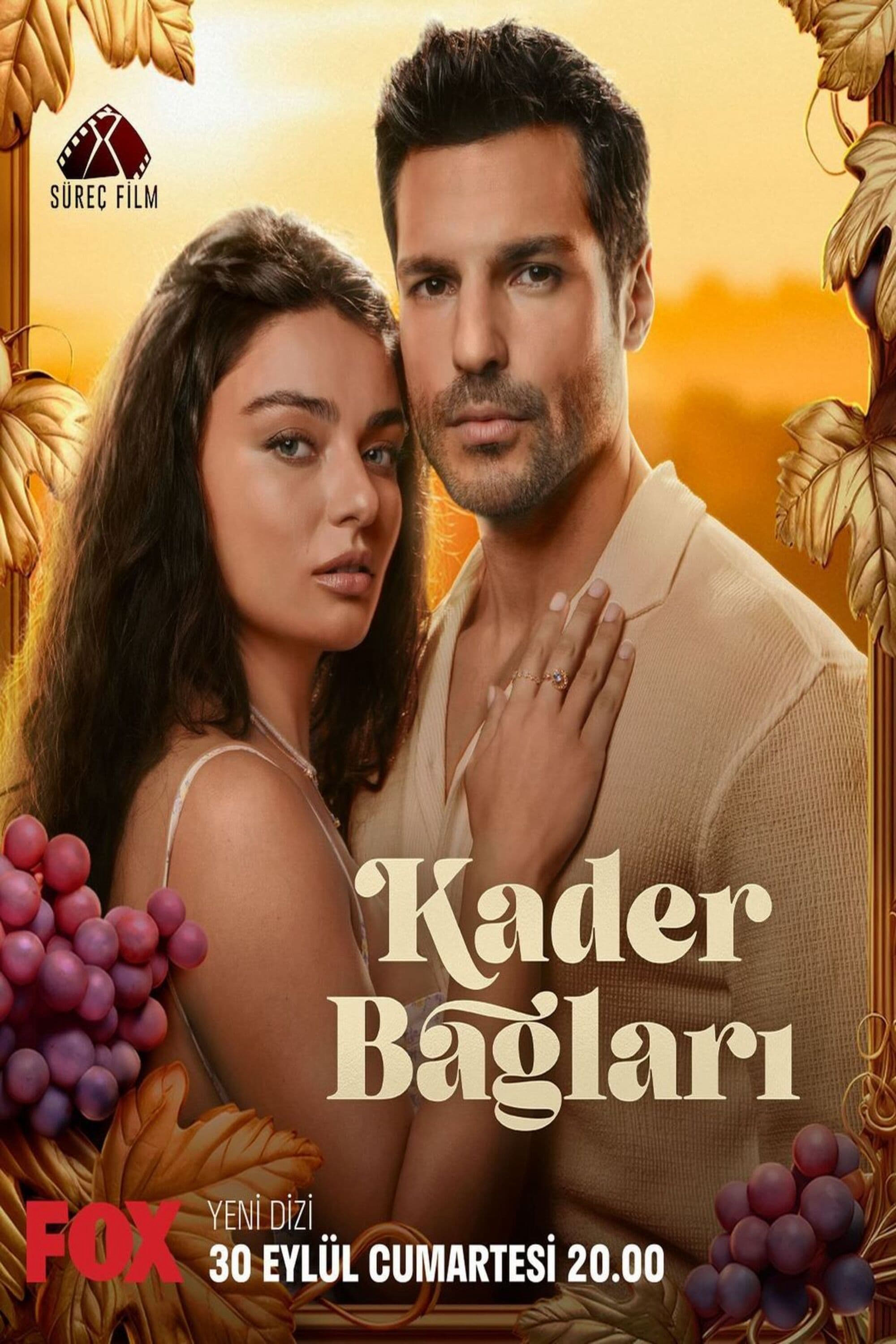Xem Phim Vận Mệnh Gắn Kết Vietsub HD Online - Rophim