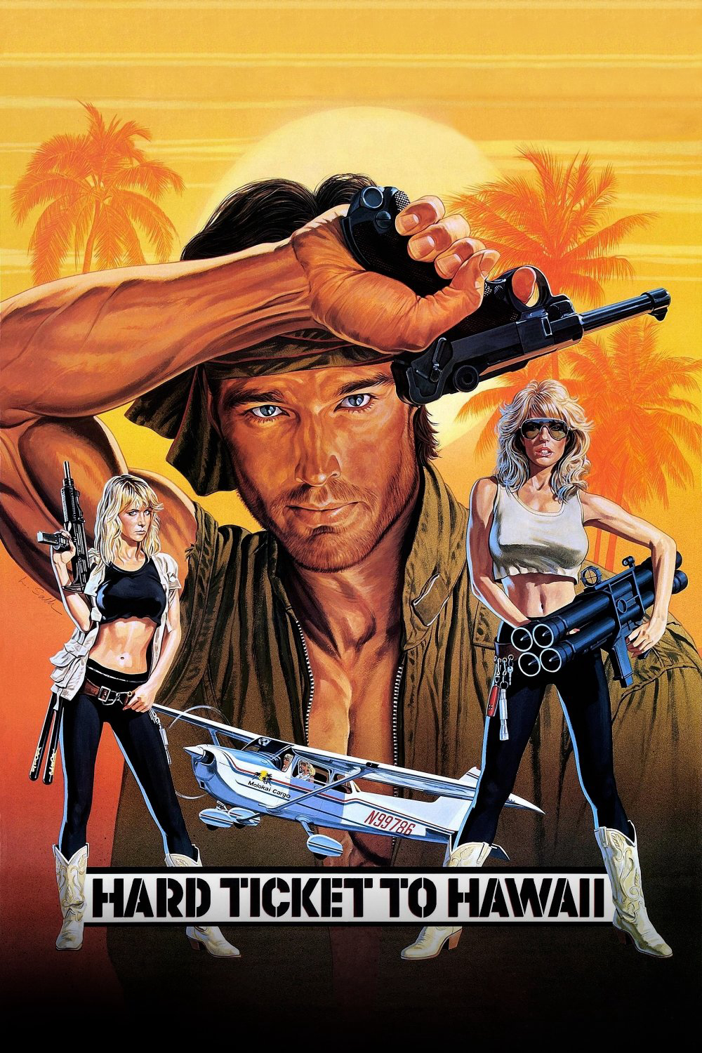 Xem Phim Vé cứng đến Hawaii Vietsub HD Online - Rophim