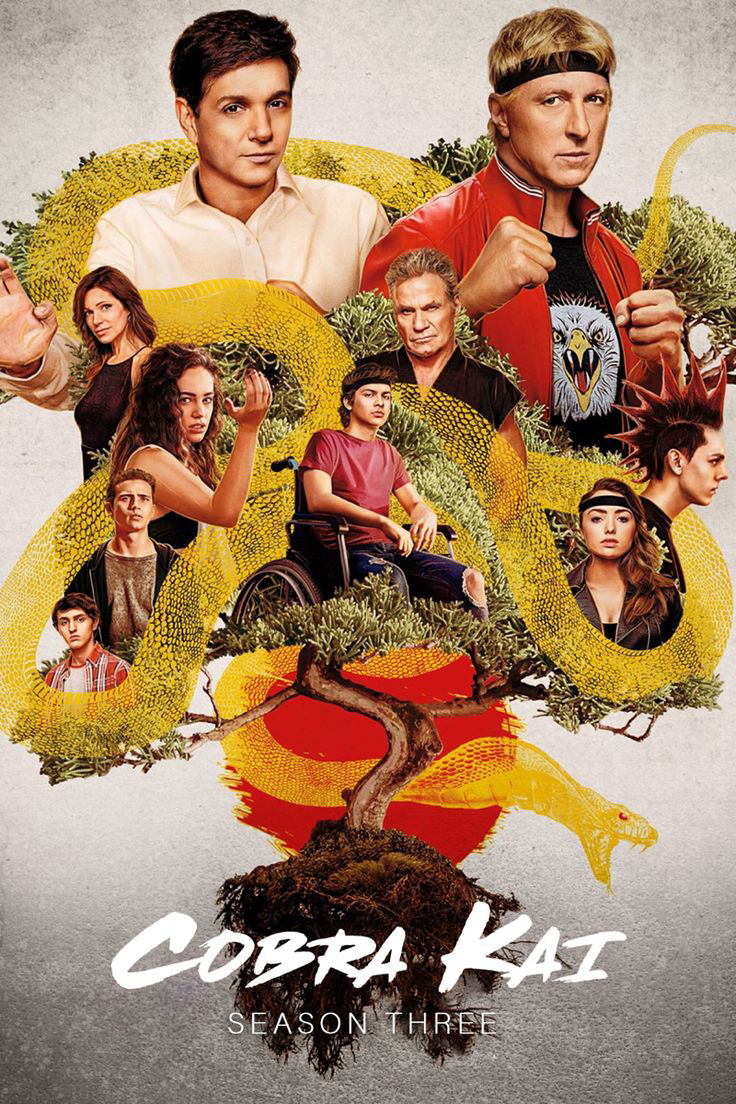 Xem Phim Võ Đường Cobra Kai (Phần 3) Vietsub HD Online - Rophim