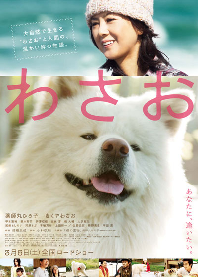 Xem Phim Wasao Vietsub HD Online - Rophim