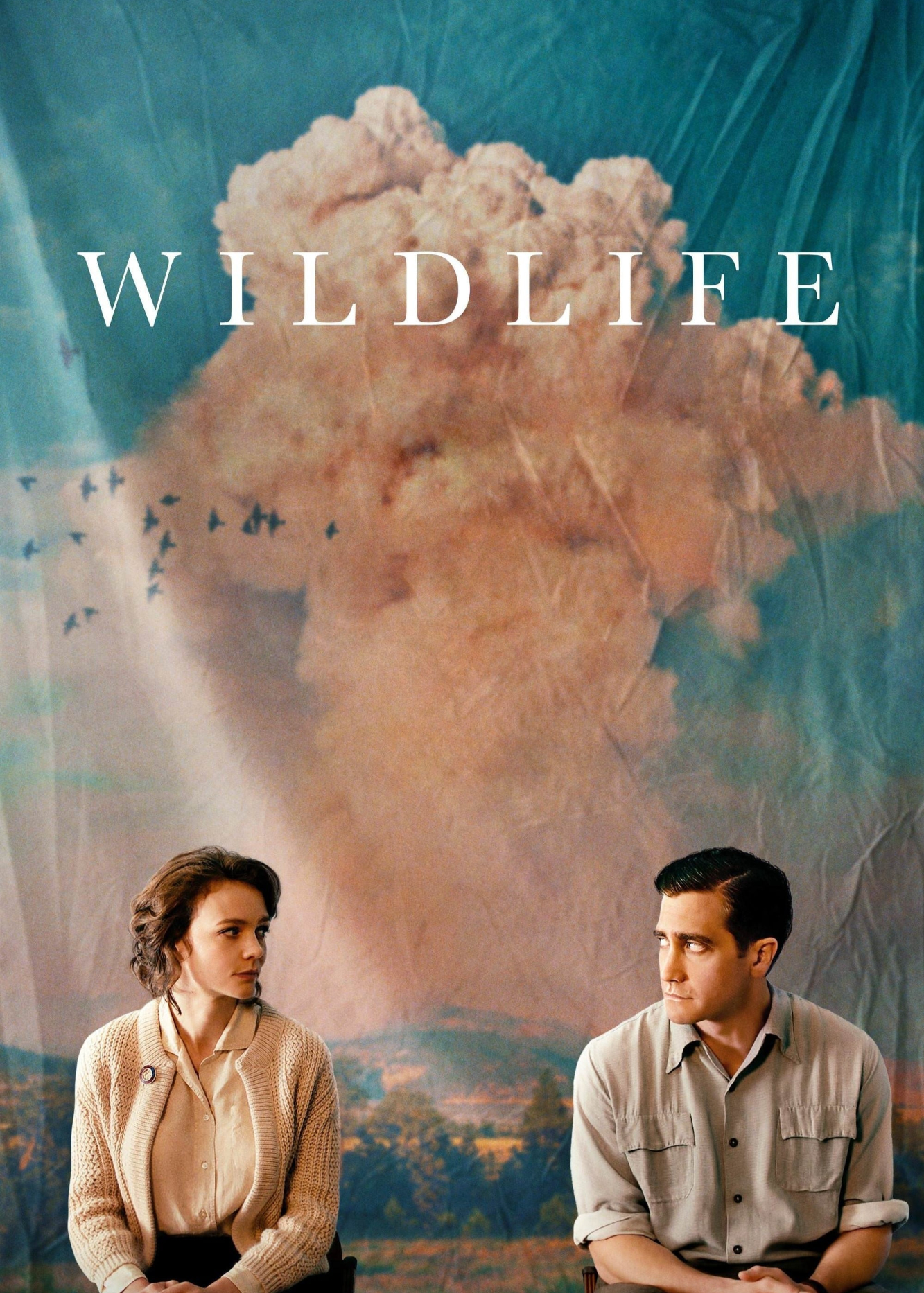 Xem Phim Wildlife Vietsub HD Online - Rophim