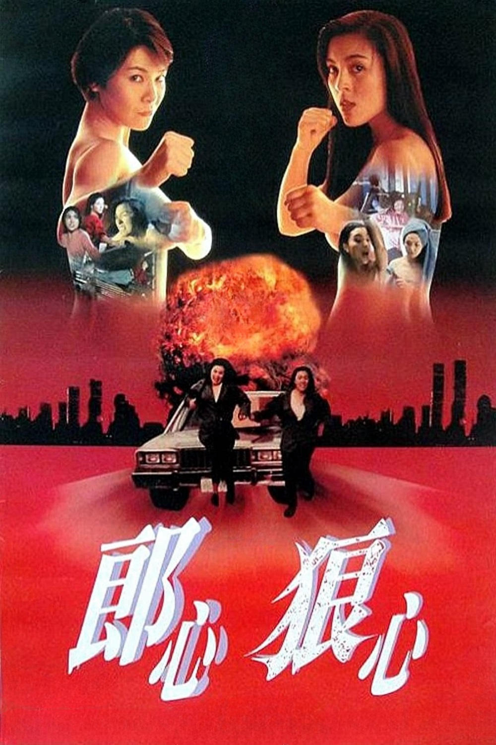 Xem Phim Women on the Run Vietsub HD Online - Rophim