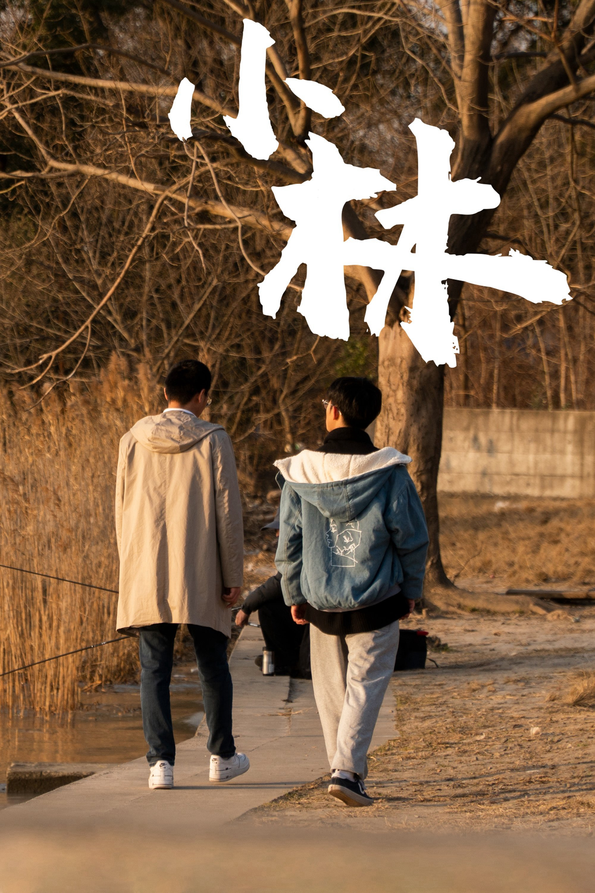 Xem Phim Xiao Lin Vietsub HD Online - Rophim