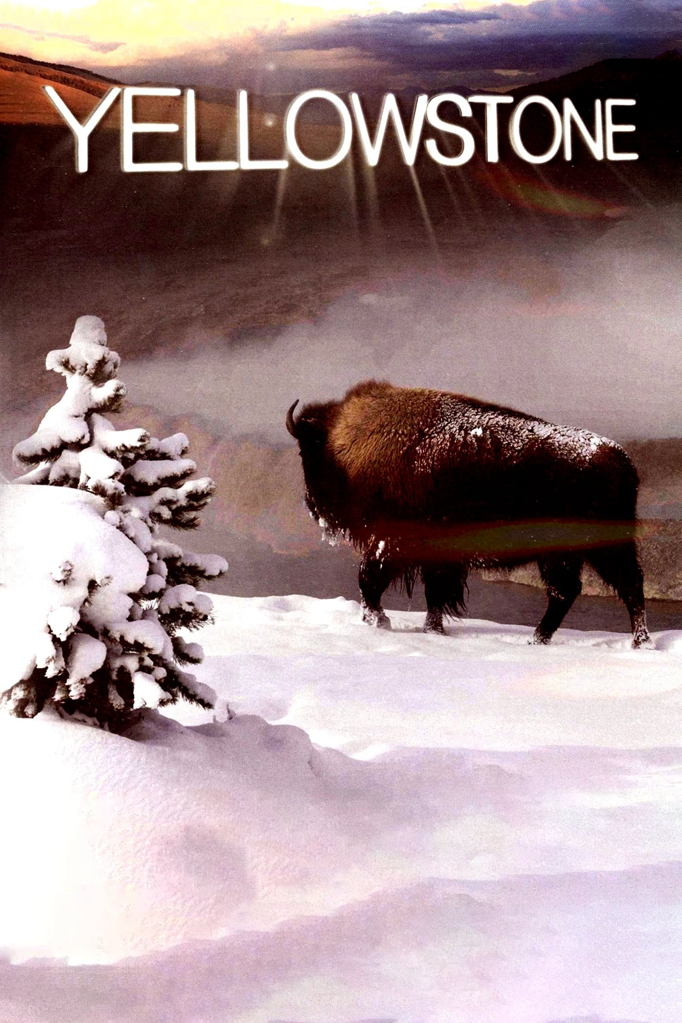 Xem Phim Yellowstone Vietsub HD Online - Rophim