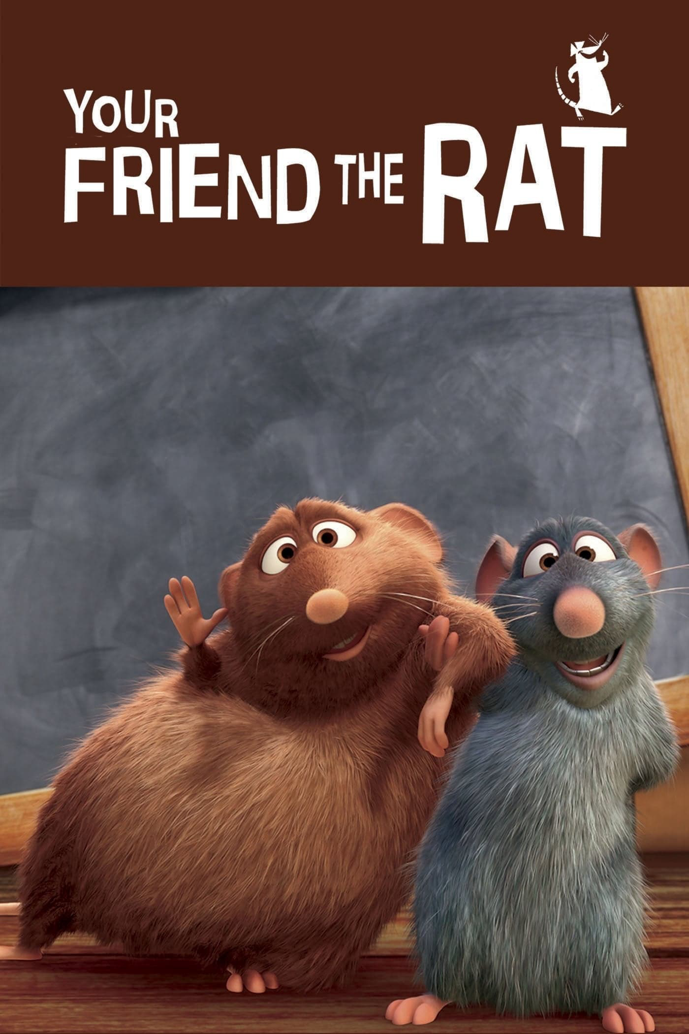 Xem Phim Your Friend the Rat Vietsub HD Online - Rophim