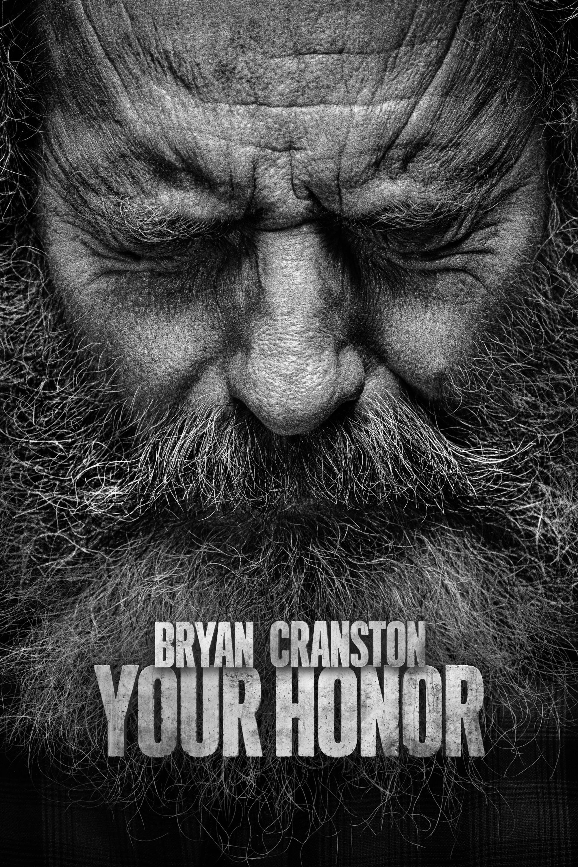 Xem Phim Your Honor (Phần 2) Vietsub HD Online - Rophim